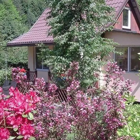 度假居 Pod Brzozka *