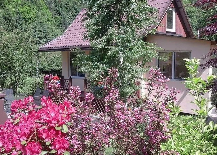 Ferienhaus Pod Brzozka *